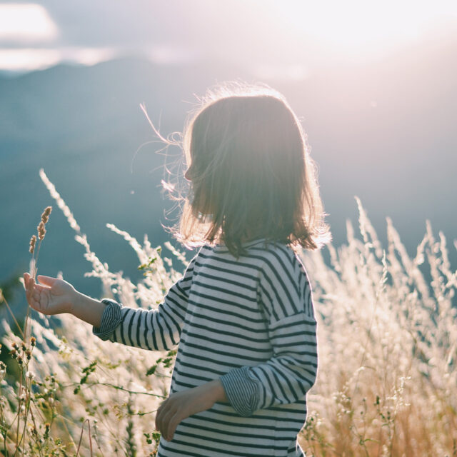 Masonry_Rosenstrasse_deko__31280x1280